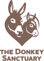DONKEY SANCTUARY